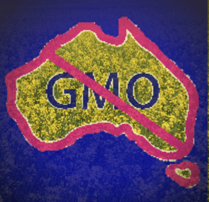 Australian Moratorium on GM Canola