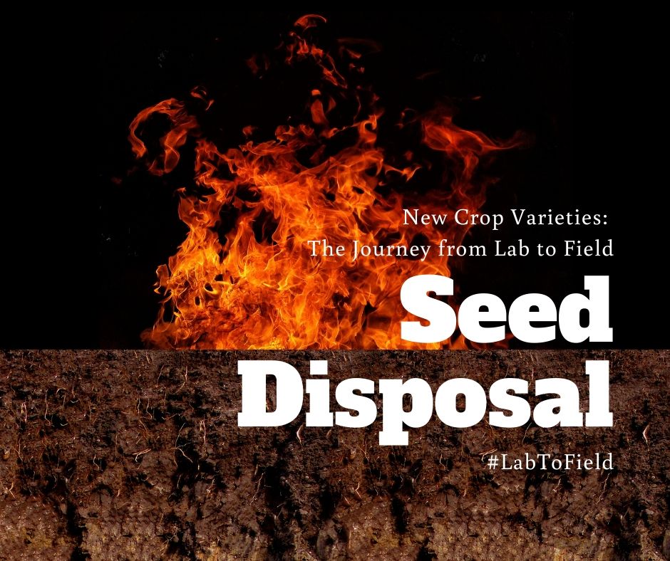 Seed disposal #LabToField
