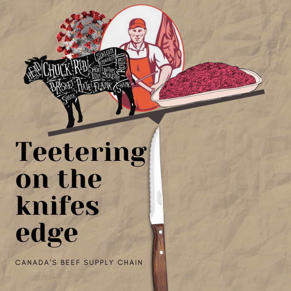 teetering on the edge of beef supply chain