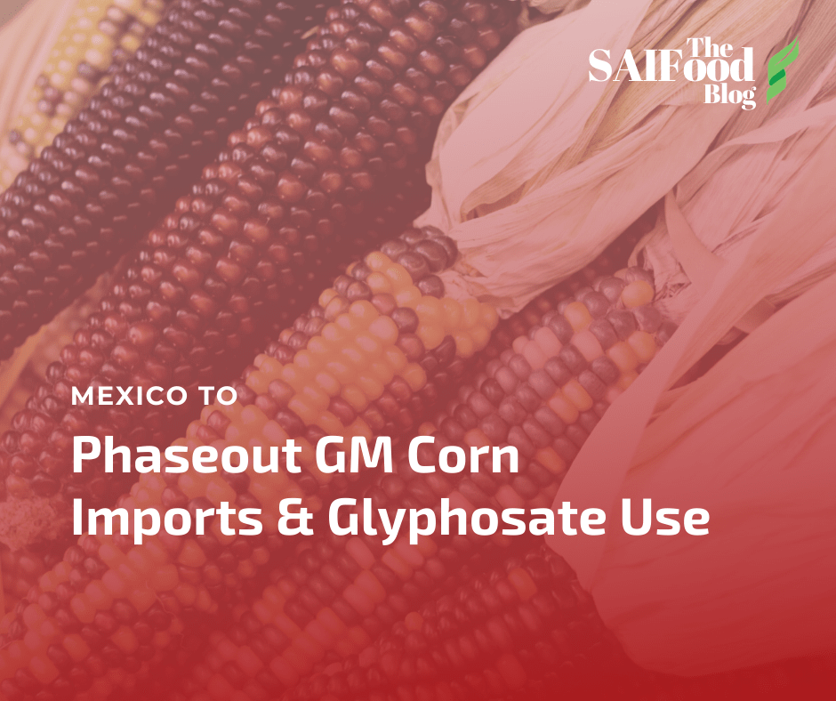 Mexico GM Corn and Glyphosate phasing out