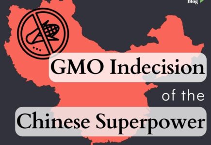 GMO Indecision of the Chinese Superpower