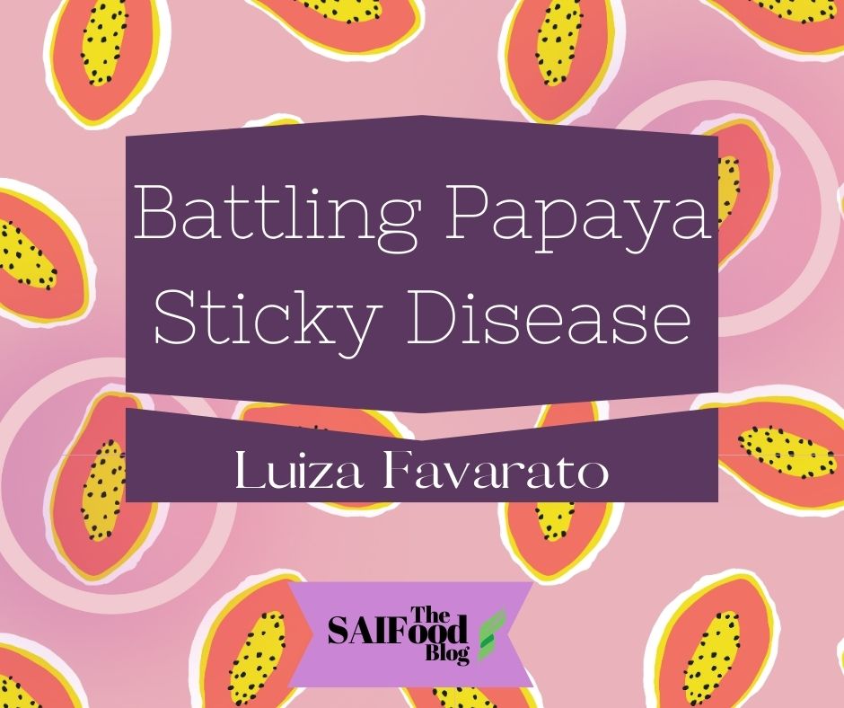 Battling papaya sticky disease