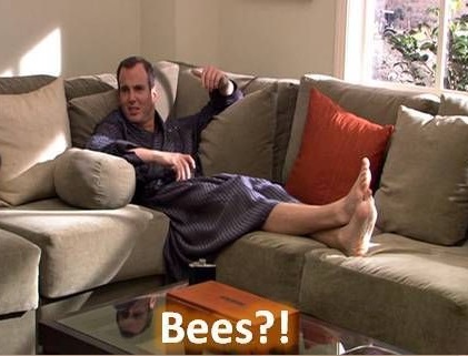 Bees?!