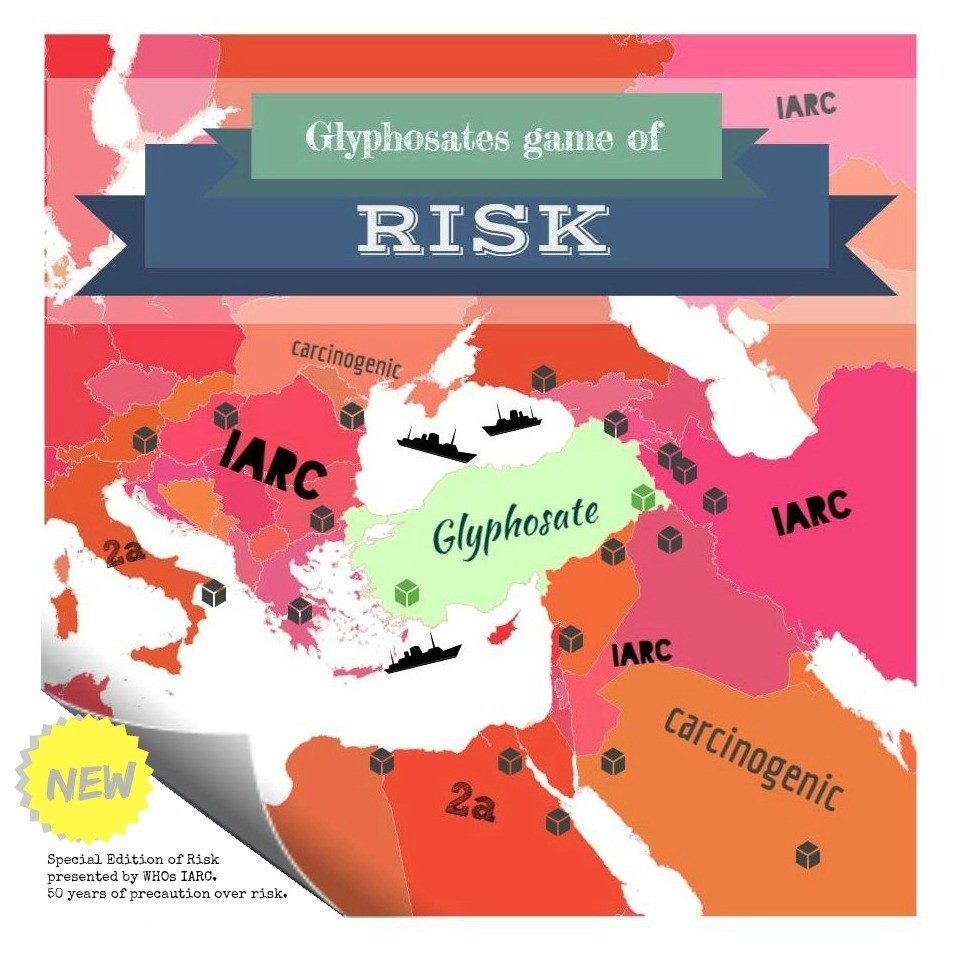 Risk Management vs. Risk Avoidance: