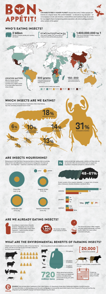 CAN INSECTS FEED A HUNGRY PLANET?