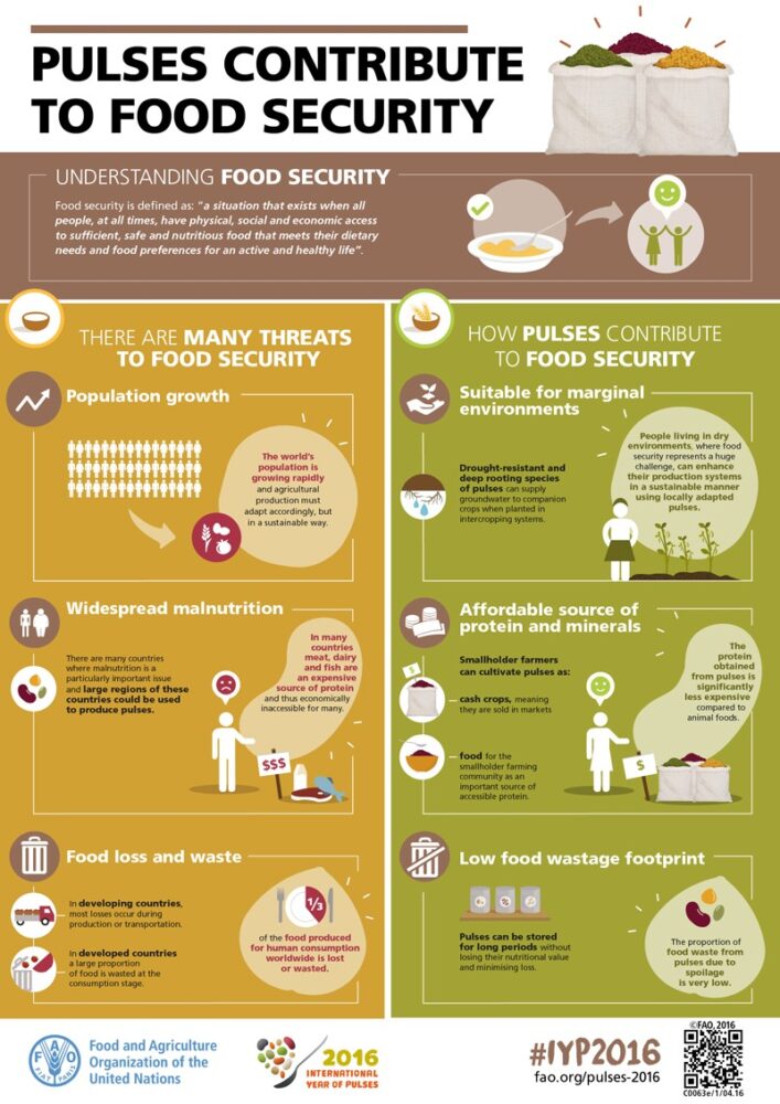 The Pulse On Food And Nutrition Innovation In Southern Ethiopia - SAIFood