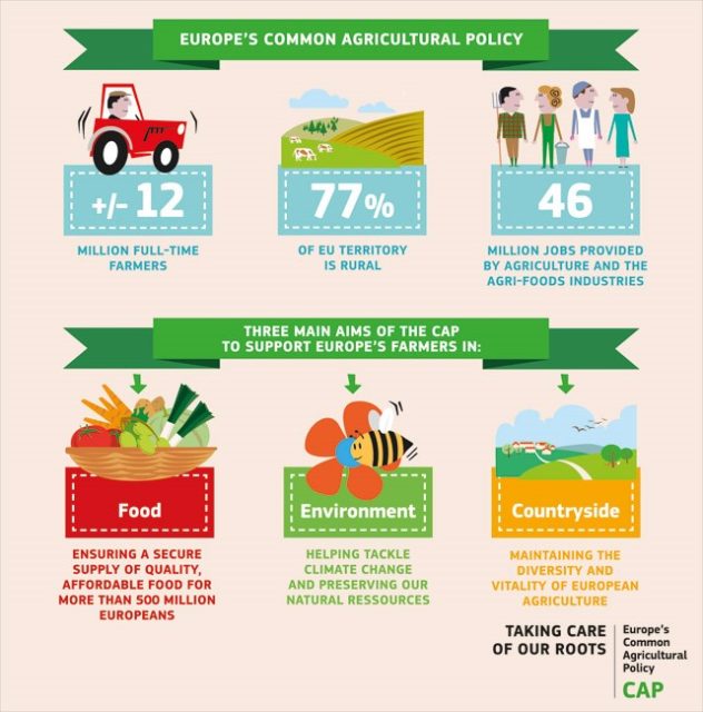 What is the Common Agricultural Policy? 1