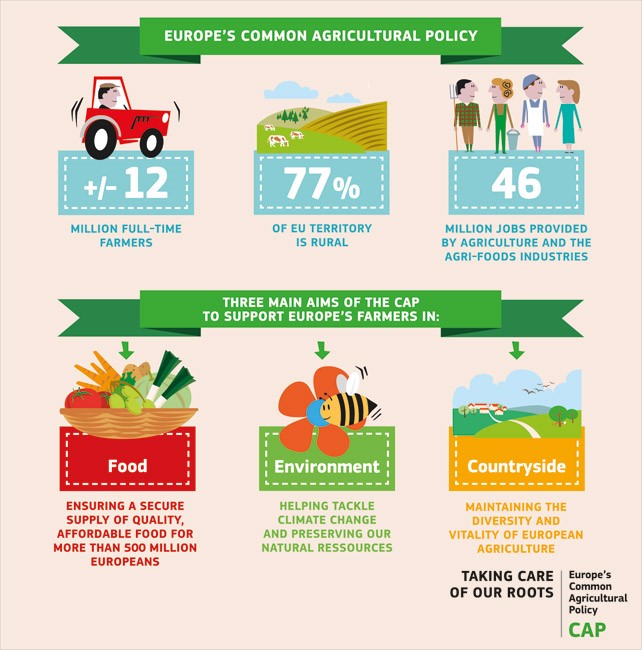 What is the Common Agricultural Policy?