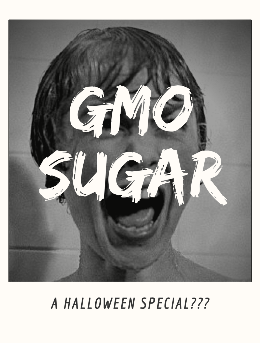 GMO Sugar