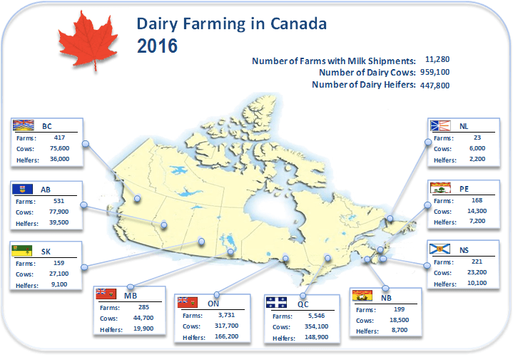 Canada dairy quota