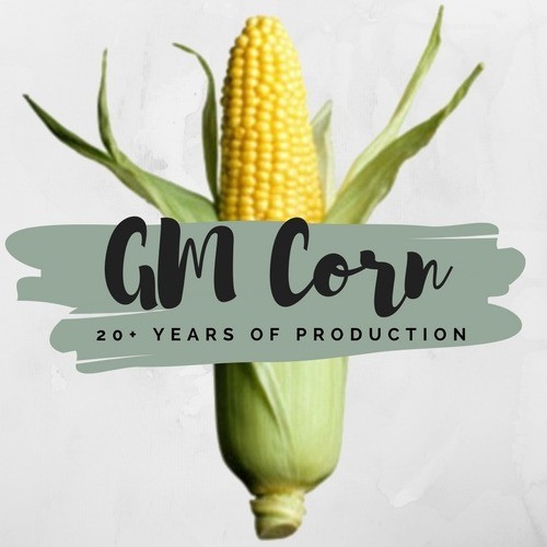 GM Corn data has been in the makes from 20+ years of production