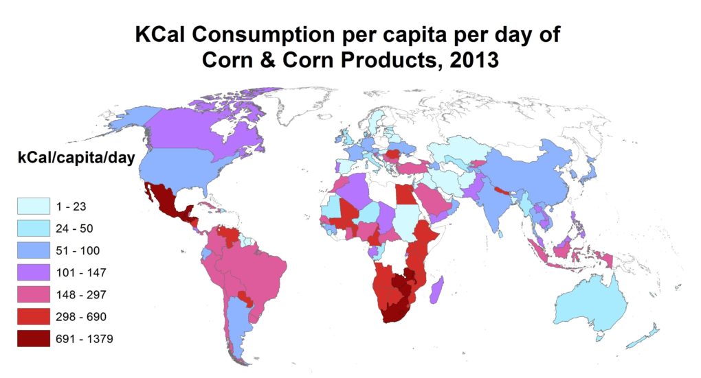National daily kCal per capita per day of corn: FAO Food Balance Sheet, 2018