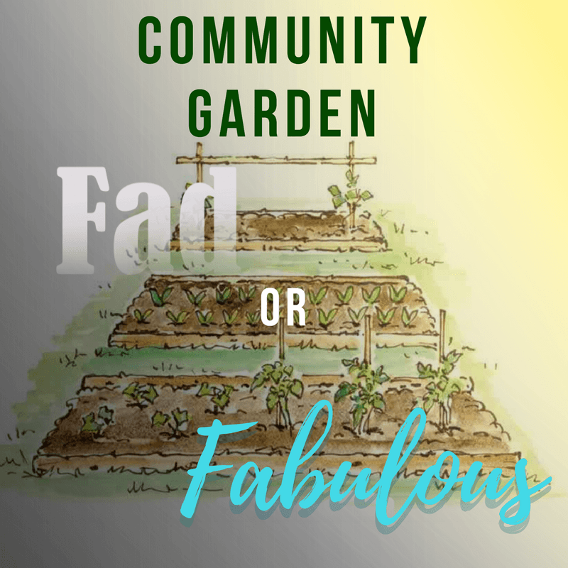 Community Gardens- Fad or Fabulous?