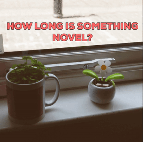 How Long is Something Novel?