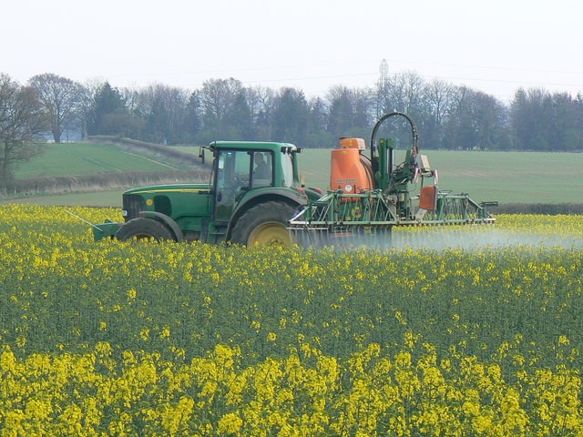 Canola field being sprayed with glyphosate. Is is a weed killer or desiccant?