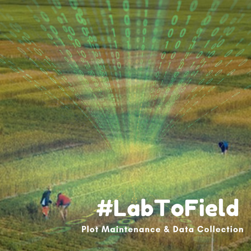 Data Collection #LabToField