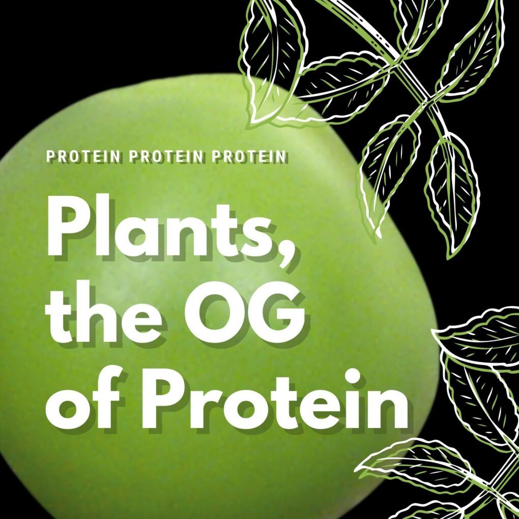 plants are the OG of protein