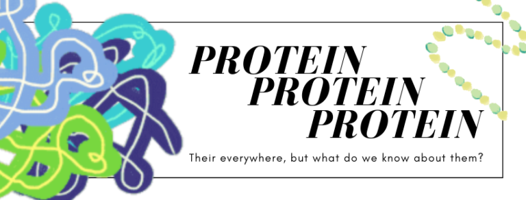 Protein protein protein - SAIFood series