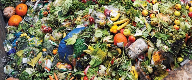 Impact of Global Food Waste on Food Security