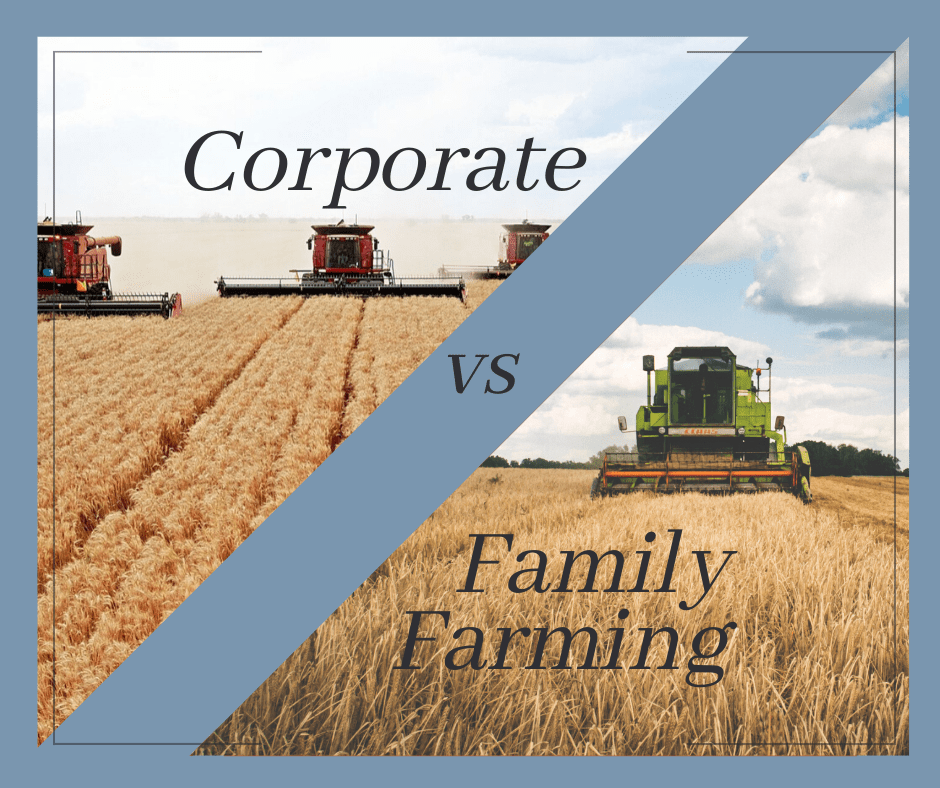 Large Corporate Farms Versus Small Family Farms
