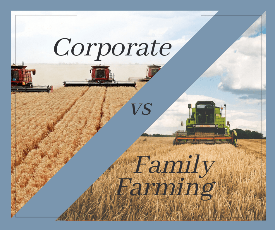 Large Corporate Farms Versus Small Family Farms SAIFood