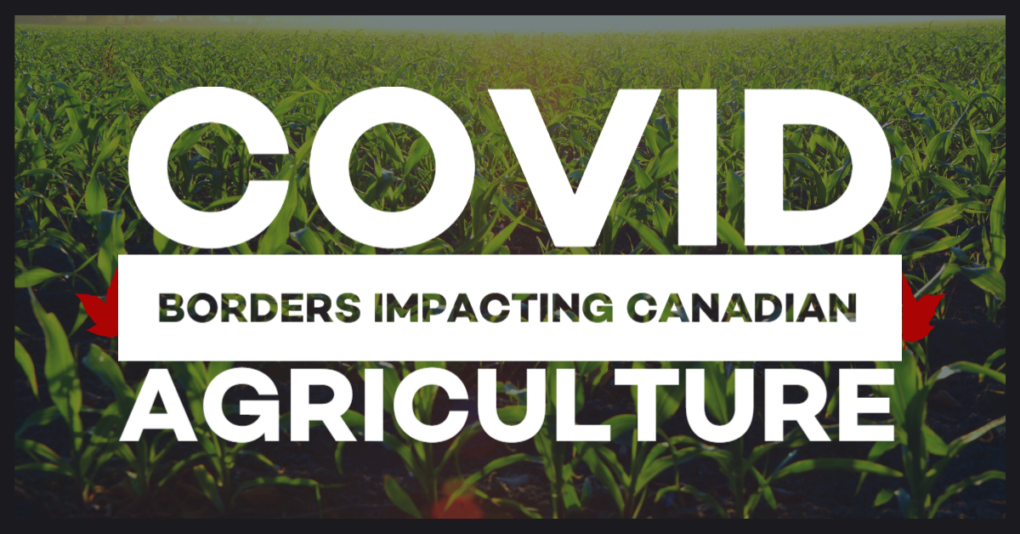 COVID Borders impacting Canadian Agriculture and farm labour