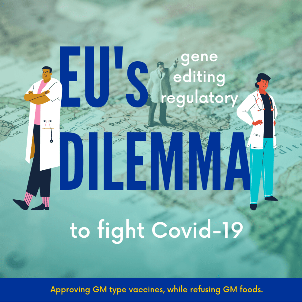 The EU’s Gene Editing Regulatory Dilemma