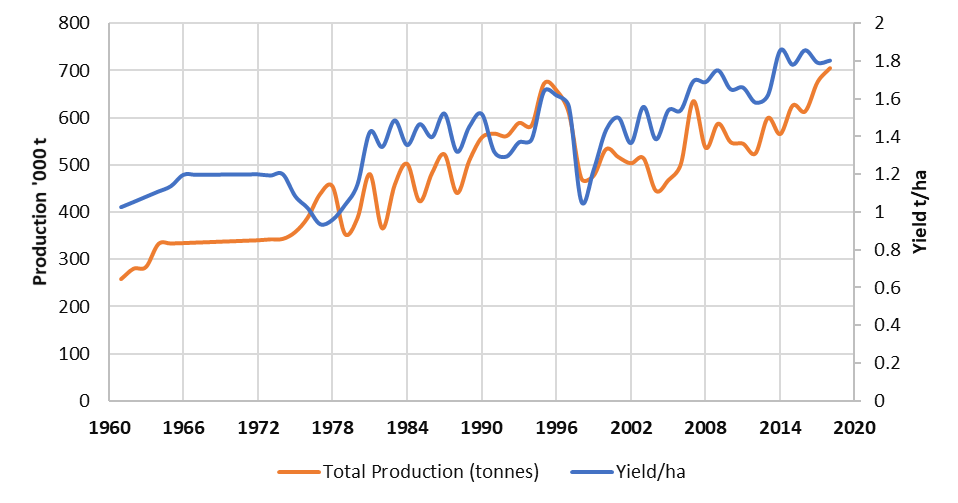 GM Corn Impact In Honduras - SAIFood