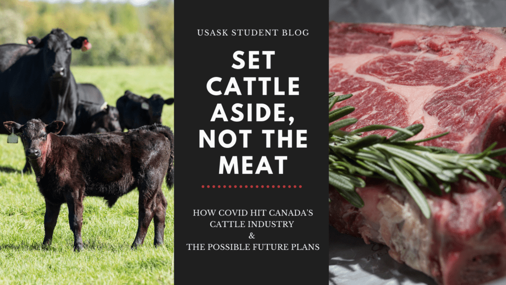 Set Cattle Aside, Not the Meat