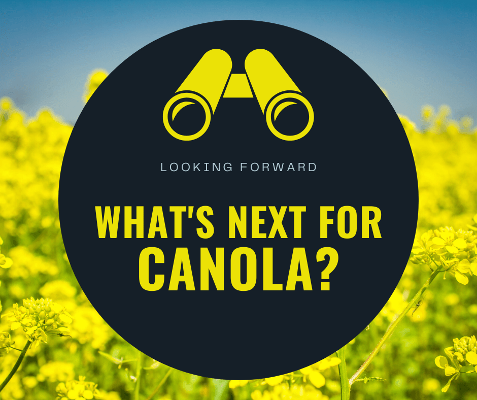 What’s Next for Canola?