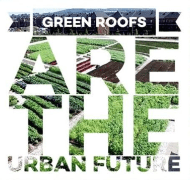 Green roofs are the urban future