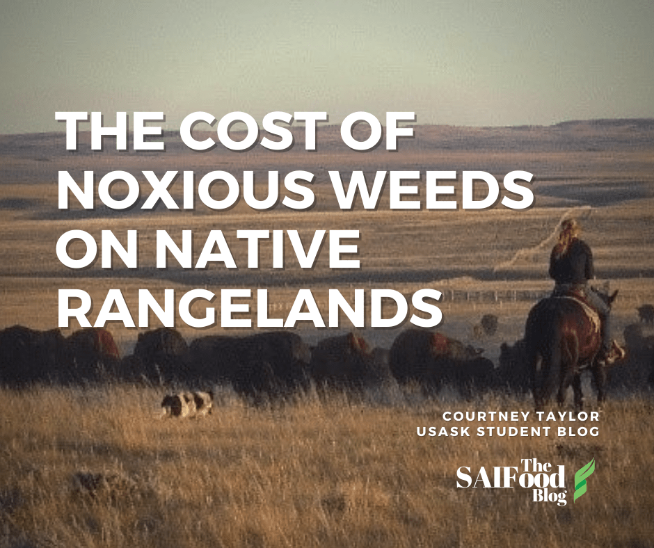 The Cost of Noxious Weeds on Native Rangelands