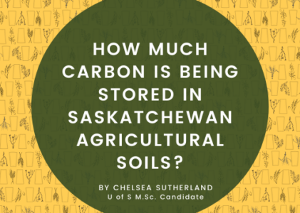 How Much Carbon is Being Stored in Saskatchewan Agricultural Soils?