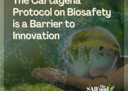 The Cartagena Protocol on Biosafety is a Barrier to Innovation