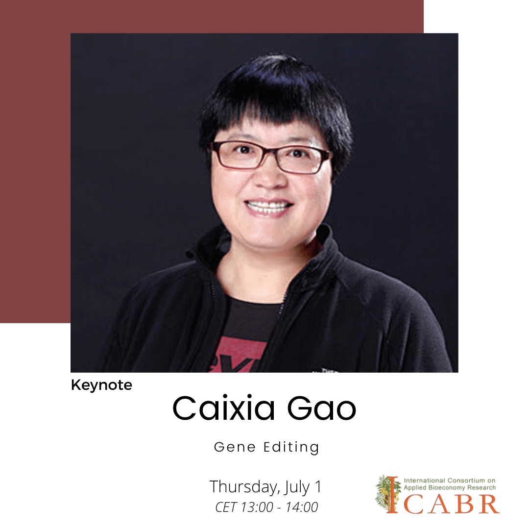 Image of Caixia Gao for ICABR 2021