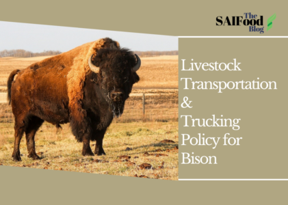 Livestock Transportation & Trucking Policy for Bison