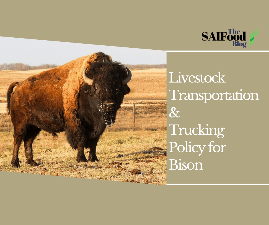 Bison and text: Livestock Transportation & Trucking Policy for Bison