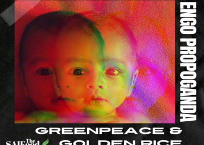 Greenpeace and Golden Rice