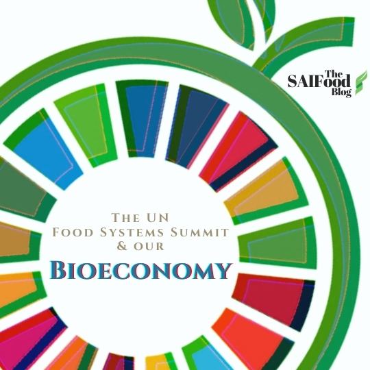 UN Food Systems Summit & our Bioeconomy