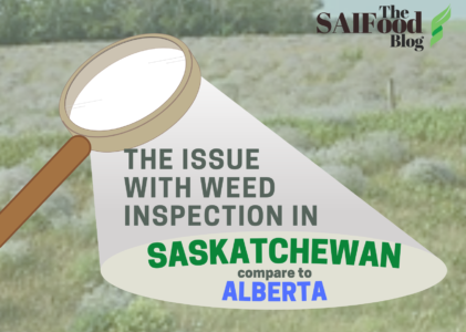 The Issues with Weed Inspection in Saskatchewan compared to Alberta