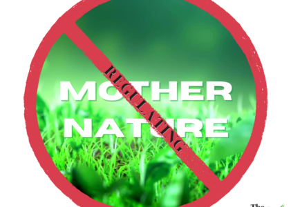 Is There a Need to Regulate Mother Nature?