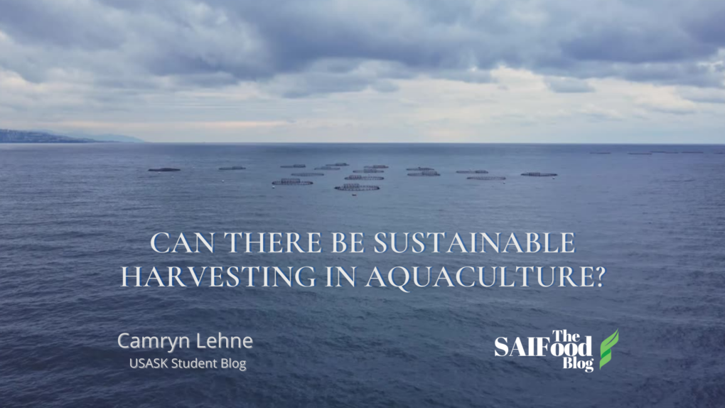 fish sustainable aquacultures