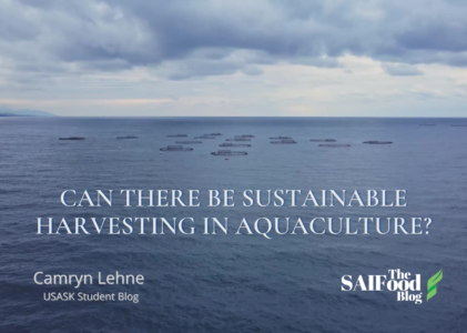 Can there be sustainable harvesting in aquaculture?