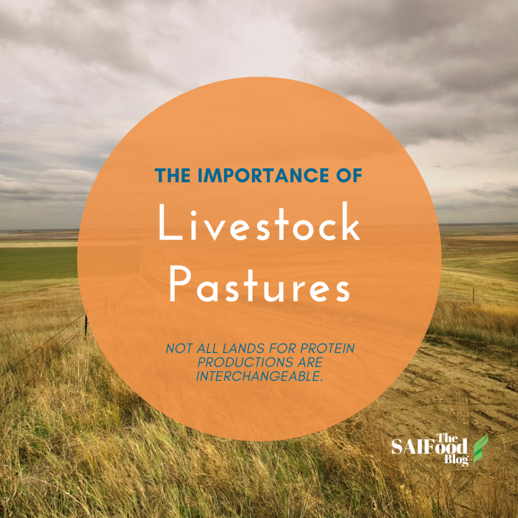 A pasture with title "The importance of livestock pastures"