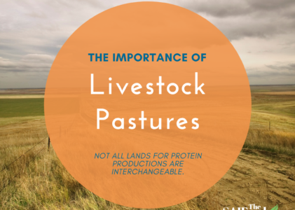 The Importance of Livestock Pastures