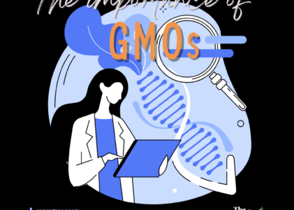 The Importance of GMOs