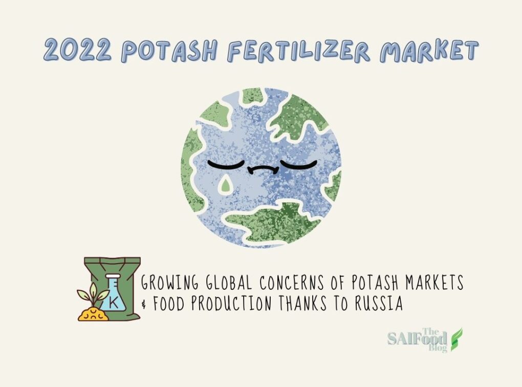 A sad globe and a bag of potash fertilizer with the text "2022 Potash Fertilizer Market"