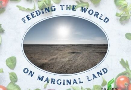 Can We Feed the World on Marginal Land?