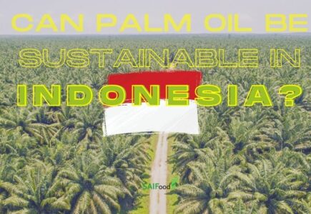 Can palm oil production be sustainable in Indonesia?