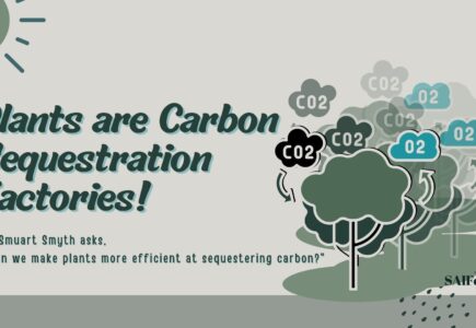 Plants Are Carbon Sequestration Factories